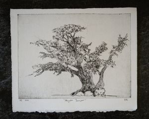 A white print of a gnarled old alligator juniper tree sits on a stone table filling most of the frame.
