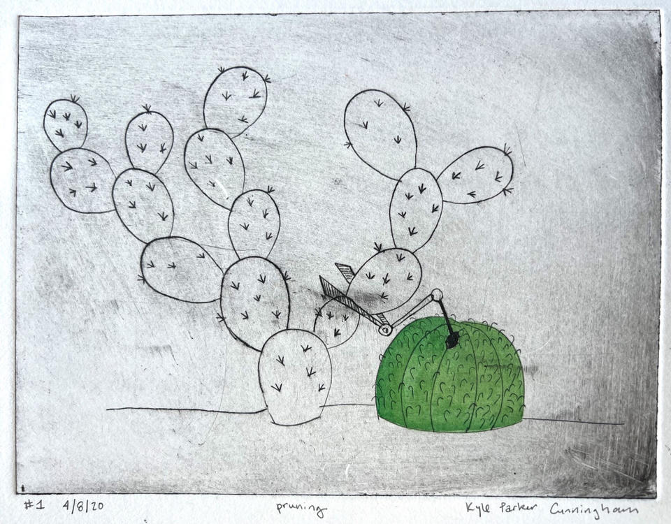 Drypoint intaglio print of a prickly pear cactus with sprawling oval pads being trimmed by a small pair of scissors held by a round green barrel cactus, hand-colored with green watercolor on the barrel cactus against a grey-toned background.