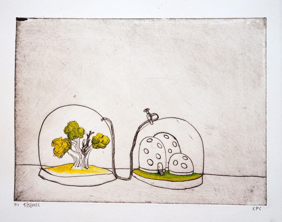 Hand-colored intaglio print of two glass domes side by side on a horizon line: one sheltering a yellow-and-green leafy tree, the other covering rounded pod-like structures on green ground, connected by a pipe with a valve.