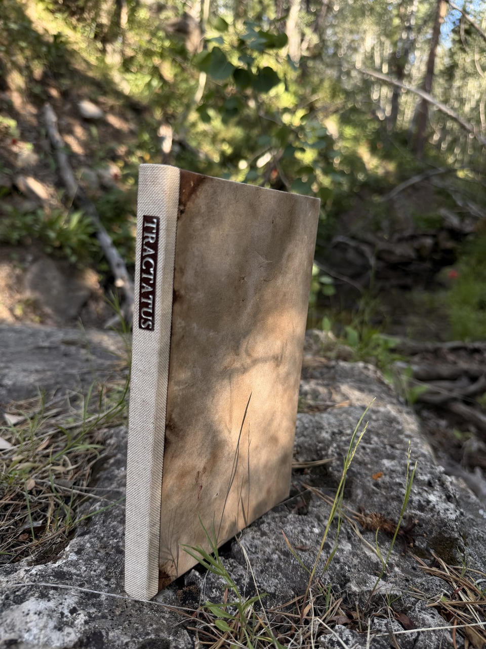 The finished Tractatus — boards covered in black walnut–dyed Mohawk Superfine cardstock, with a linen spine and an embossed goatskin TRACTATUS label, resting on stone